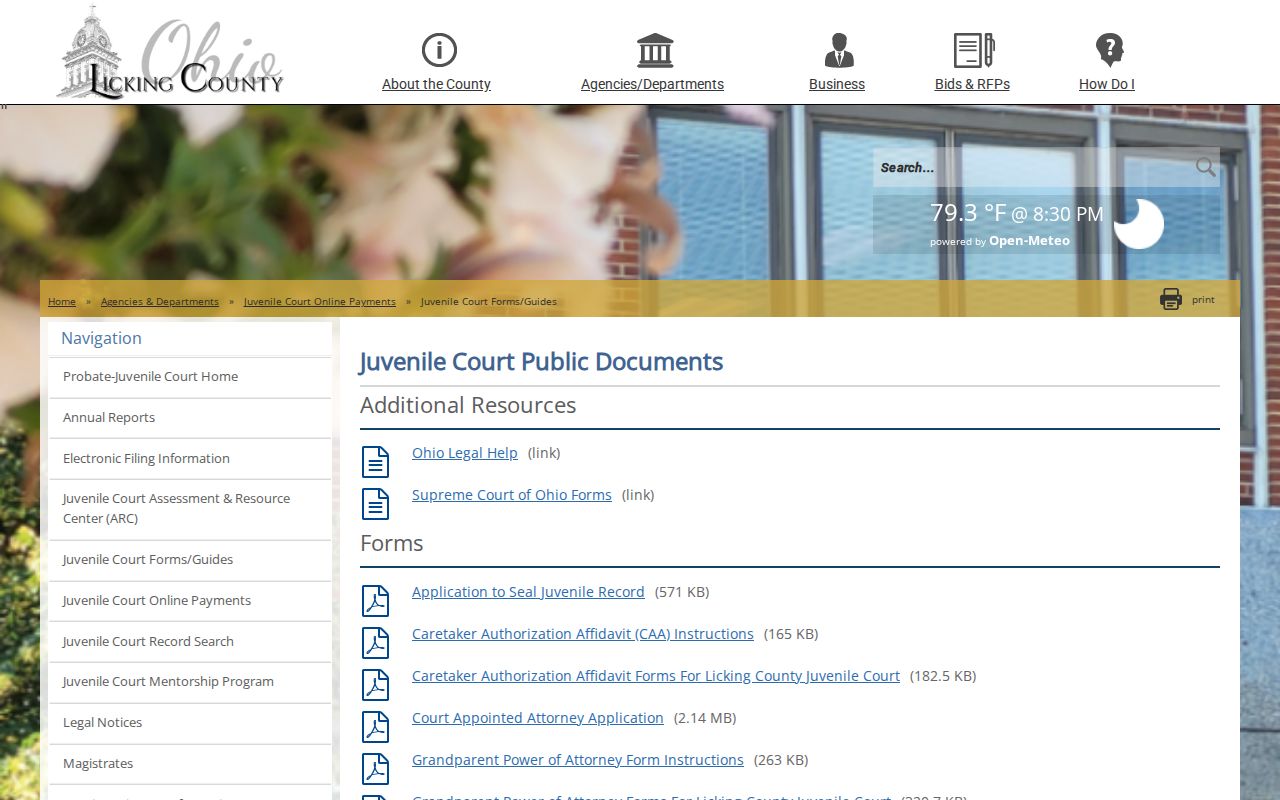 Licking County criminal docket juvenile sealing form source
